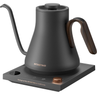INSTASTING Electric Professional Gooseneck Kettle 0.65mm Ultra-Fine Sprout (0.9L/30oz) - Auto Shut-Off, Boil Dry Protection – Matte Dark Grey/ Dark Brown Handle
